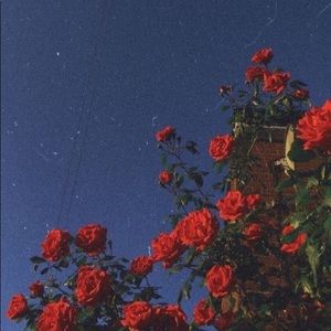 Meet your Posher, Becca